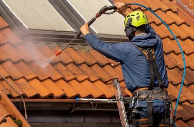 Démoussage et hydrofuge de toiture au Pla